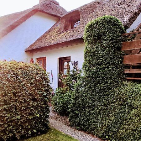 Ferienhaus Ebbe Und Flut, Terrassen-Whg Nieblum Εξωτερικό φωτογραφία